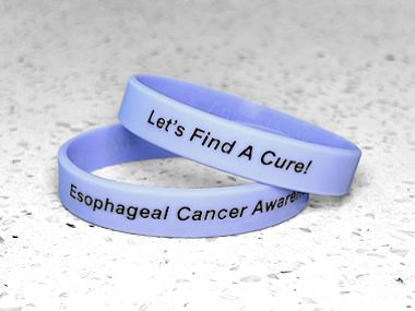 Esophageal Cancer Awareness Wristbands ~ Periwinkle